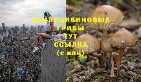 каннабис Аркадак