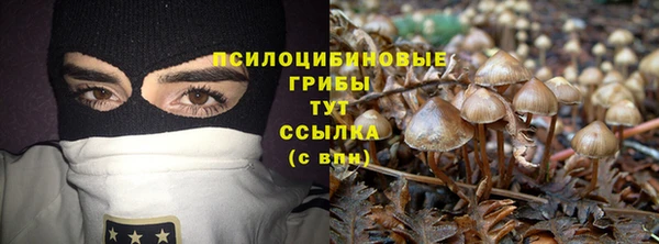первитин Арсеньев