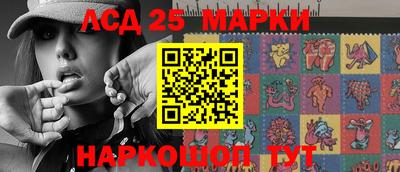 индика Камышлов
