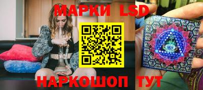 индика Камышлов