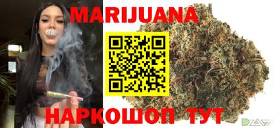 индика Камышлов