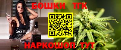 индика Камышлов