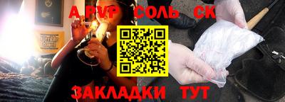 индика Камышлов