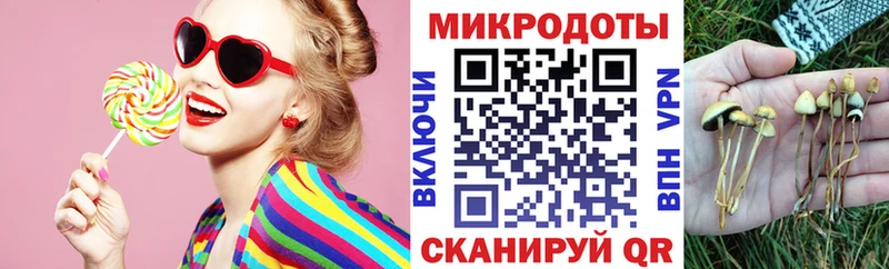 Галлюциногенные грибы Magic Shrooms  Куйбышев 