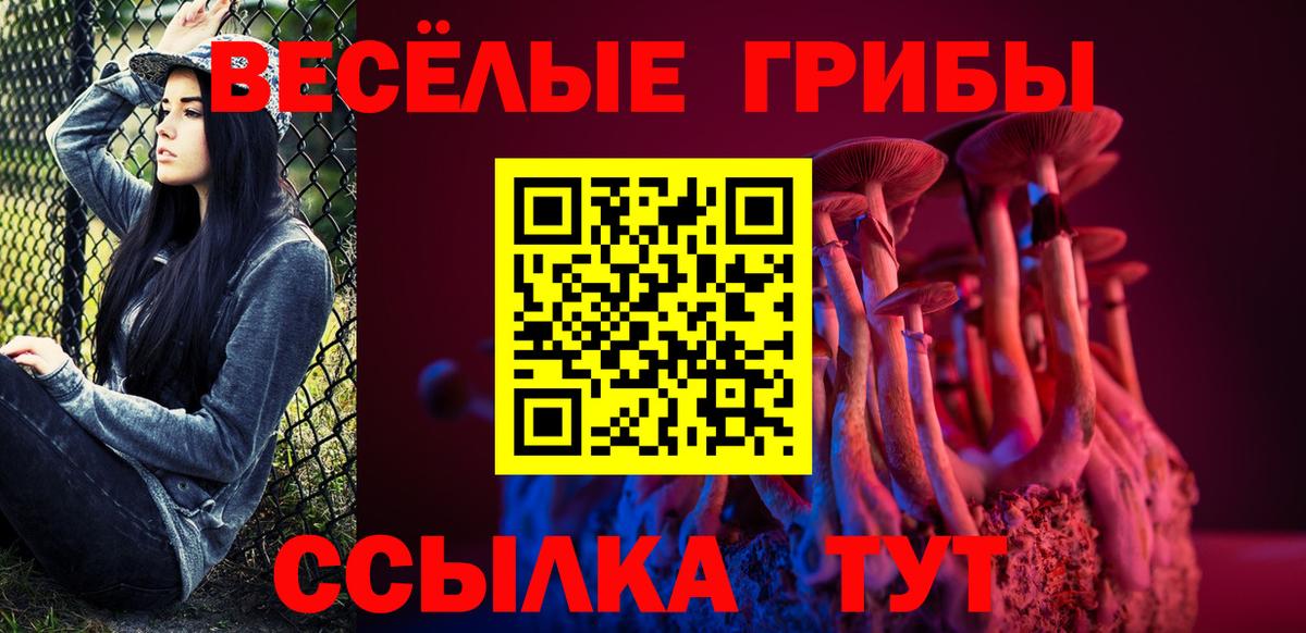 Псилоцибиновые грибы Cubensis Куйбышев